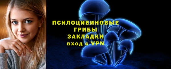 соль курить ск Арсеньев