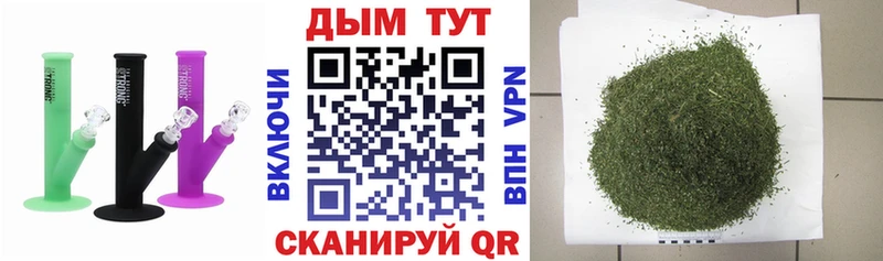 Купить  Волосово  Каннабис индика 